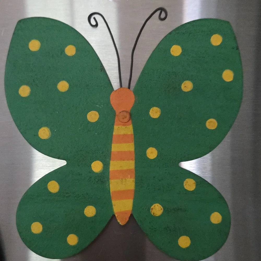 Decorative Butterfly and Heart Magnetic Art Set in Orange, Green, and Red